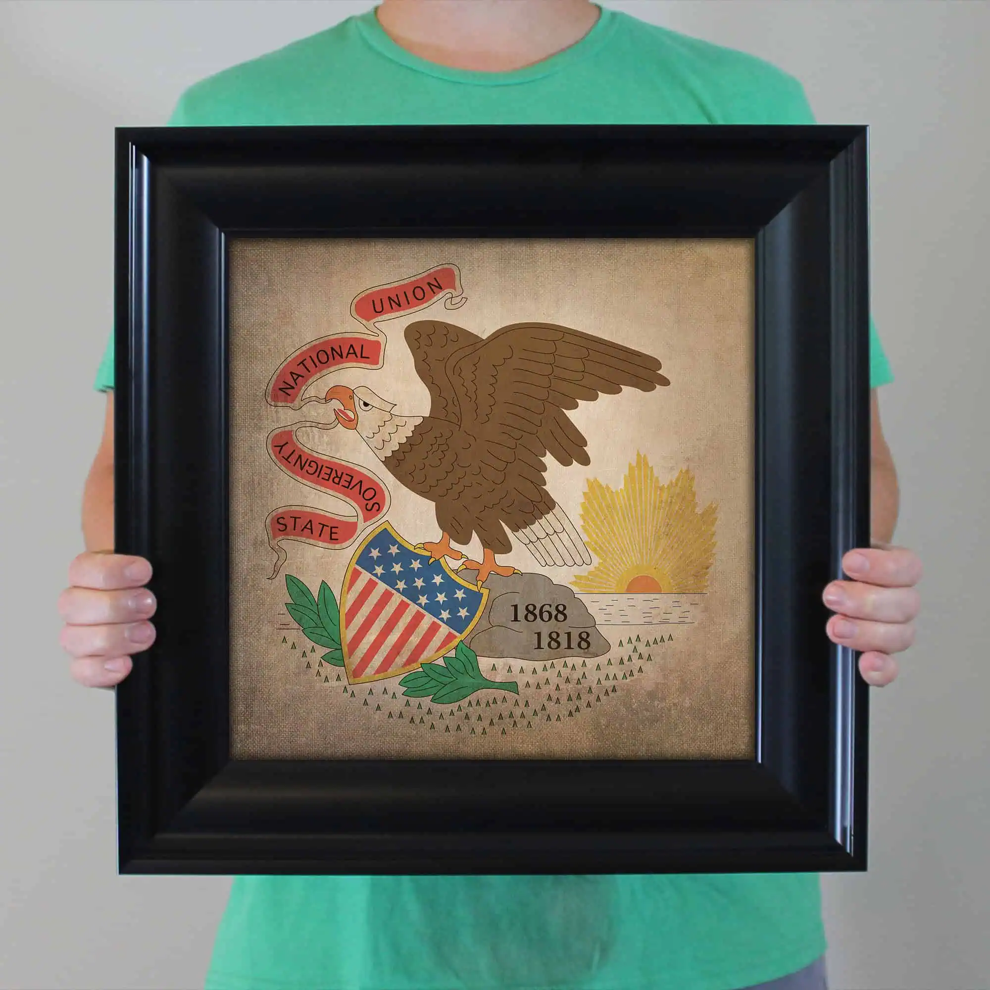 Historic state flag art featuring an eagle, shield, and sunrise, representing the U.S. state of Illinois, dating from 1868-1818, displayed in a black frame.