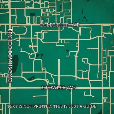 Detailed street map of the Fletcher Avenue and Fowler Avenue area in Tampa, Florida, showcasing local road layouts and neighborhood routes. Perfect for navigation and geographic reference.